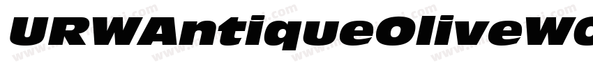 URWAntiqueOliveW01 CompctIt Regular字体转换